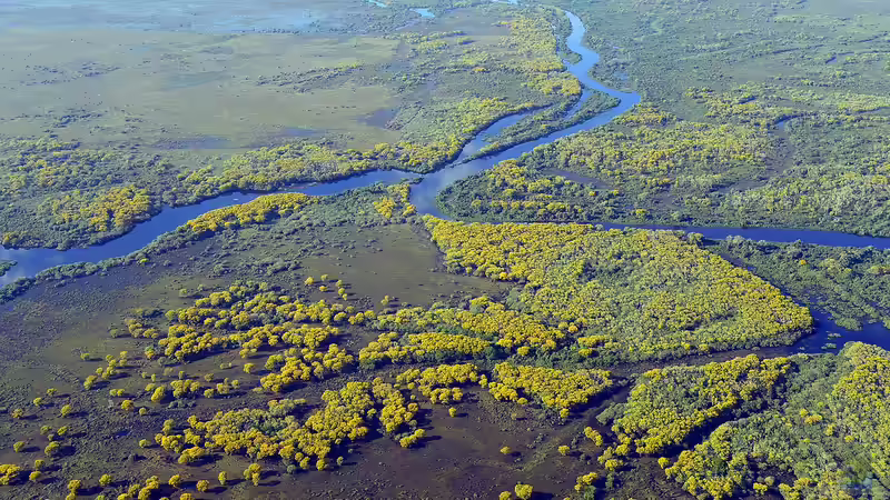 Pantanal - Das größte Feuchtgebiet der Erde und seine Bedeutung für Aquarianer