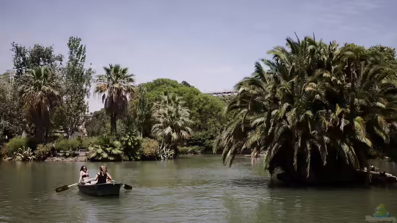 Parc de la Ciutadella in Barcelona - Ein Paradies für Gartenliebhaber