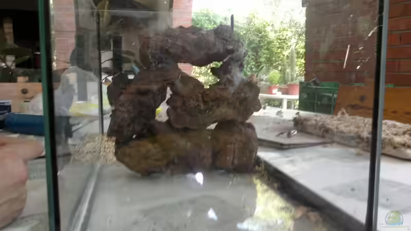 Paret lateral acabada von lomarraco (81)