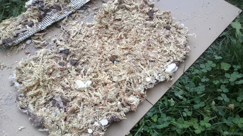 Paret posterior acabada von lomarraco (74)