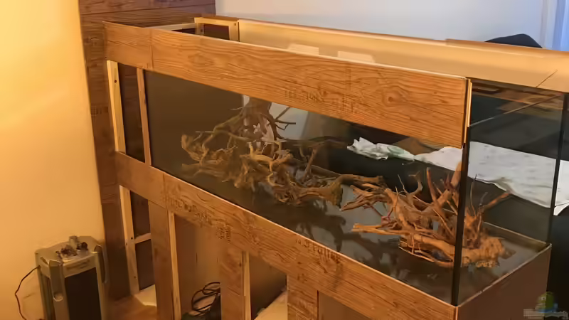 Parkett verkleiden und Bedeckung von BlueWave (15)