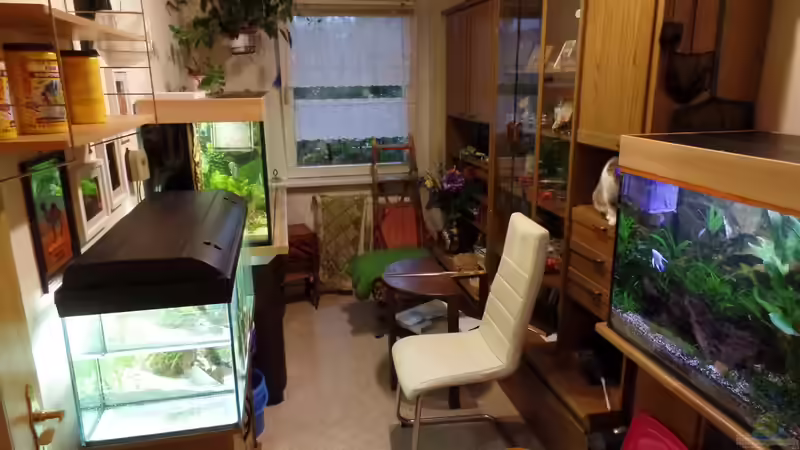 Partyraum von raubsau (3)