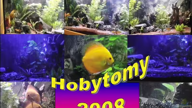 passt nicht auf ein Foto von Hobytomy (2)