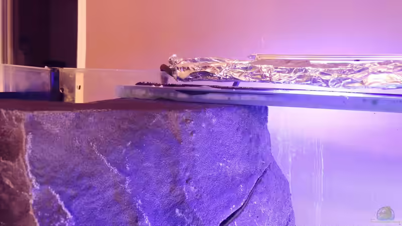 paßt perfekt von Mirko Zeisse (9)