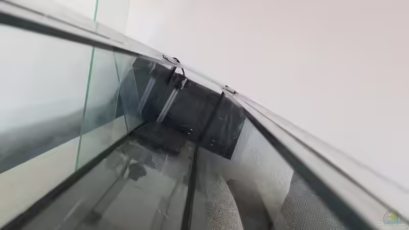 Pat Mini auf Bodenfilter  von AquaTobi90 (32)