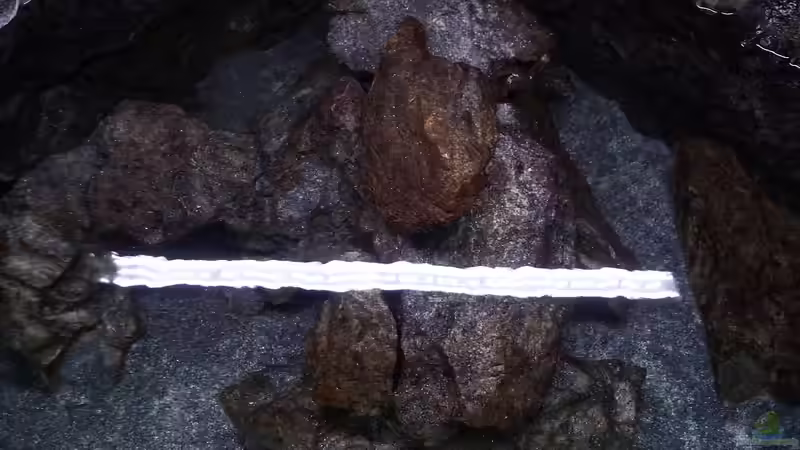 Patina auf den Steinen von DER YBBSTALER (20)