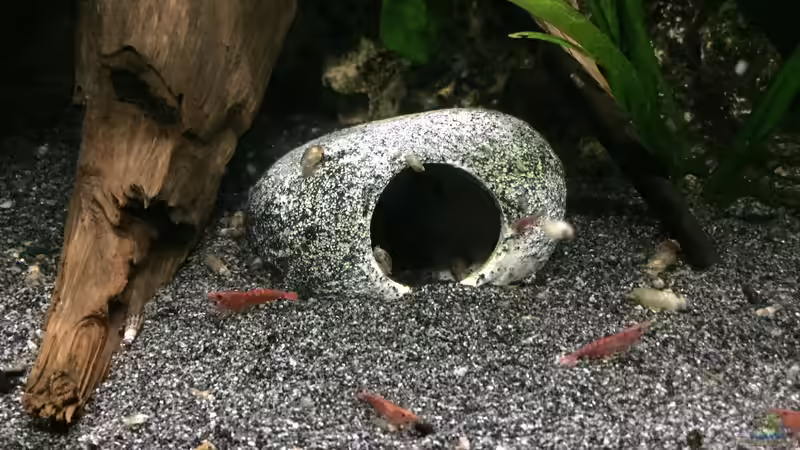 Pebble Stone Höhle von Danny (15)