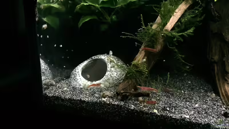 Pebble Stone Höhle von Danny (16)