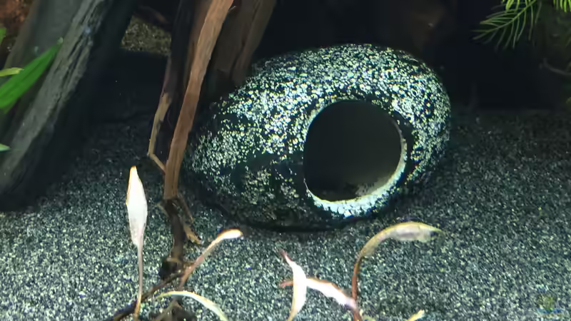 Pebble Stone Höhle von Danny (38)