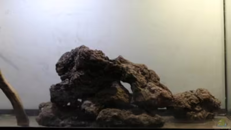 Pedra volcanica von lomarraco (44)