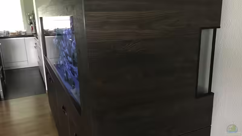 ???Peephole??? von Albert (4)