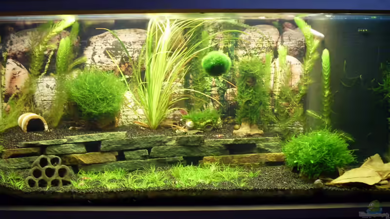 Peknyi Hideout von Socke (2)