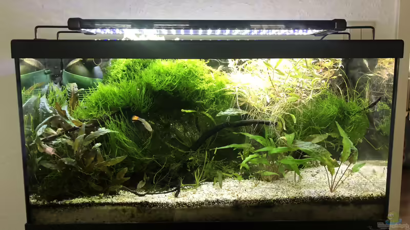 Per 20.03.19 von der Steirer (2)