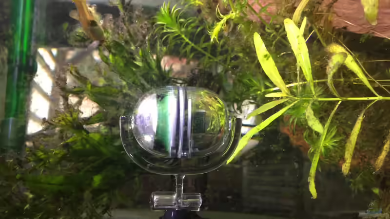 Perfect CO2 von Thomas Bachl (11)