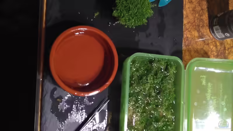 Perlkraut zupfen???? und einsetzen. Viel Geduld erforderlich.  von AdrianSoS (21)