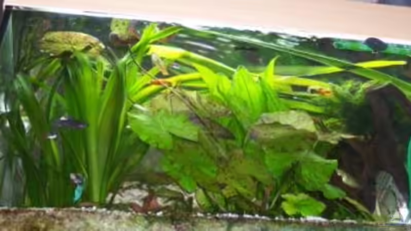 perspektive von unten von Wolfgang Sommer (4)