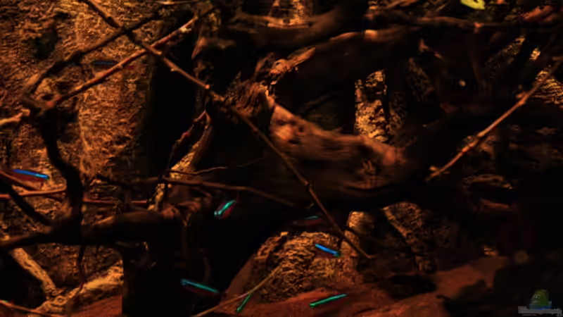 Perspektiven des Beckens im neuem Licht von Florian Bandhauer (13)