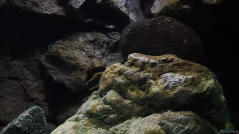 Perspektiven hier so ziemlich genau die Mitte des Beckens von Florian Bandhauer (28)