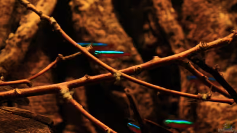 Perspektiven im Licht, jetzt mit LED -Beleuchtung von Florian Bandhauer (24)