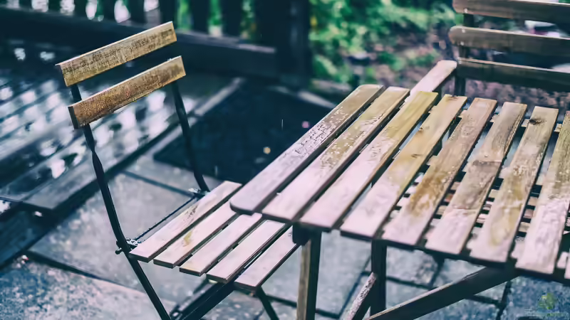 Petrichor: Warum Regen im Garten so unverwechselbar duftet