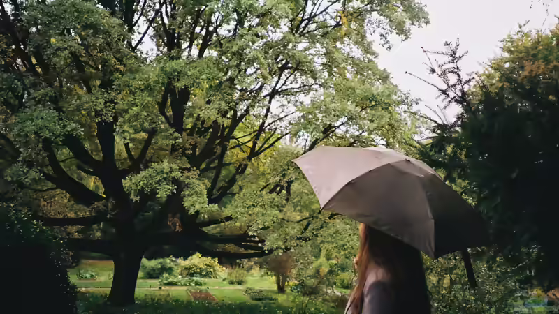 Petrichor: Warum Regen im Garten so unverwechselbar duftet