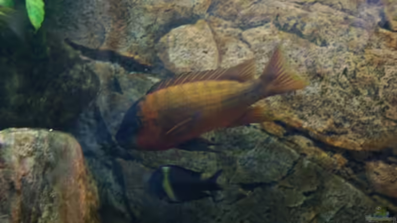 Petropower von Jens Beier (14)