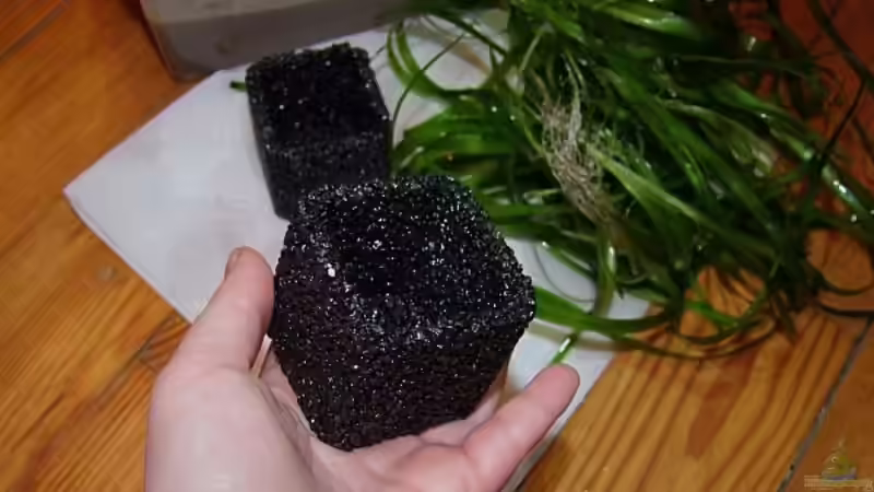 Pflanzelement für Becken mit wenig/ ohne Bodengrund von Denise83 (8)