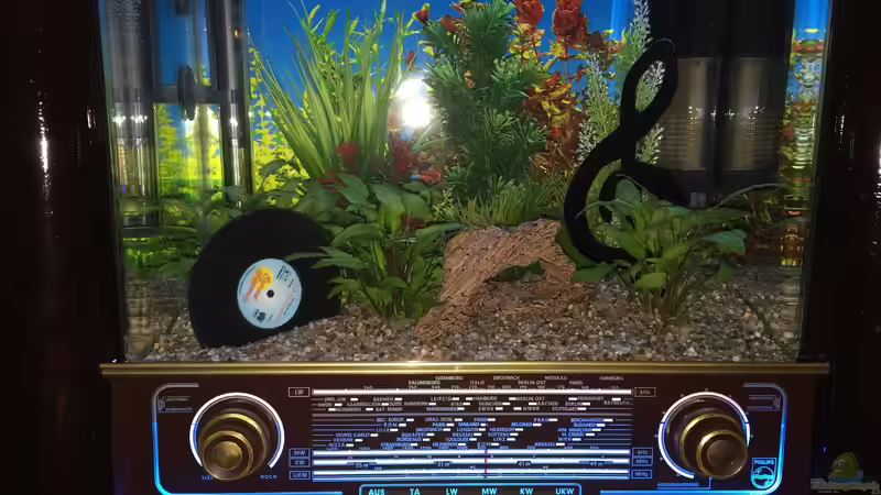 Pflanzen & Deko 01 von Hanse-Hannes (23)