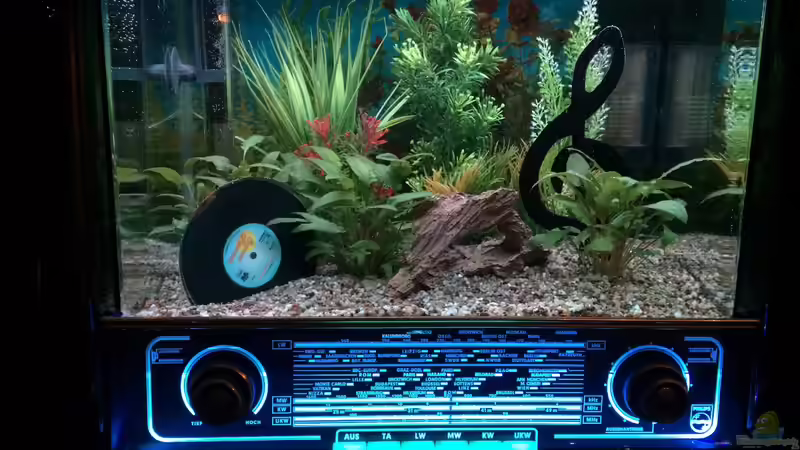 Pflanzen & Deko 02 von Hanse-Hannes (24)