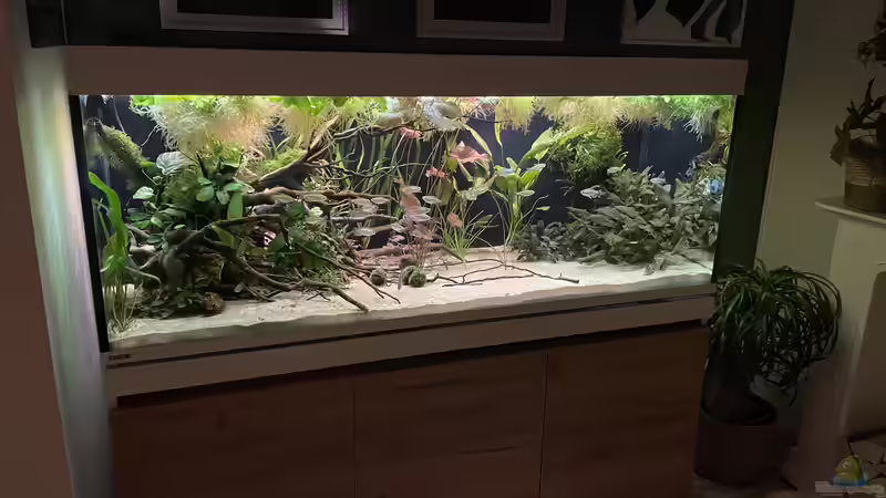 Pflanzen ausgelichtet  von Franne (2)