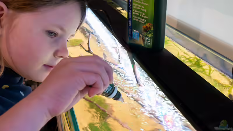 Pflanzen brauchen Dünger von DiskusMummy (15)