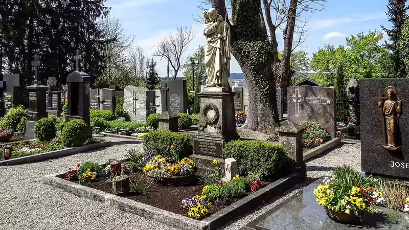 Pflanzen für Allerheiligen - Die schönsten Blumen und Pflanzen zur Grabgestaltung im Herbst