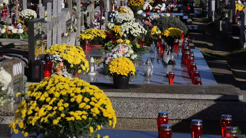 Pflanzen für Allerheiligen - Die schönsten Blumen und Pflanzen zur Grabgestaltung im Herbst