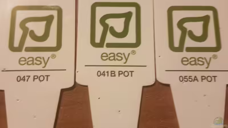 Pflanzen im Aquarium 450 Liter von Aquarius1988 (33)