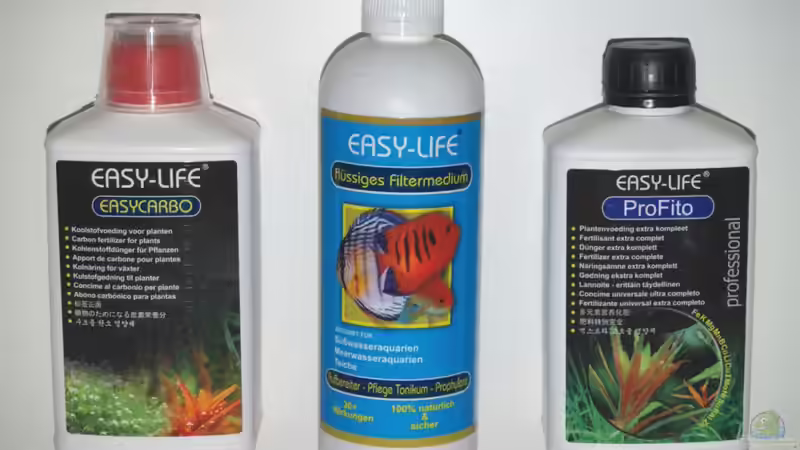 Pflanzen im Aquarium Amazonas (Existiert nicht mehr) von Laura (8)