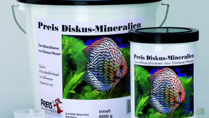 Pflanzen im Aquarium Amazonas (Existiert nicht mehr) von Laura (9)