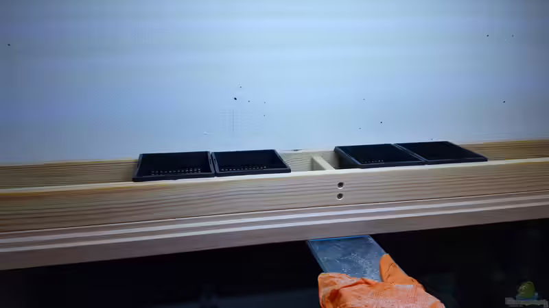 Pflanzen im Aquarium Amazonas klarwasser Biotop von Südamerika Aquanaut (20)