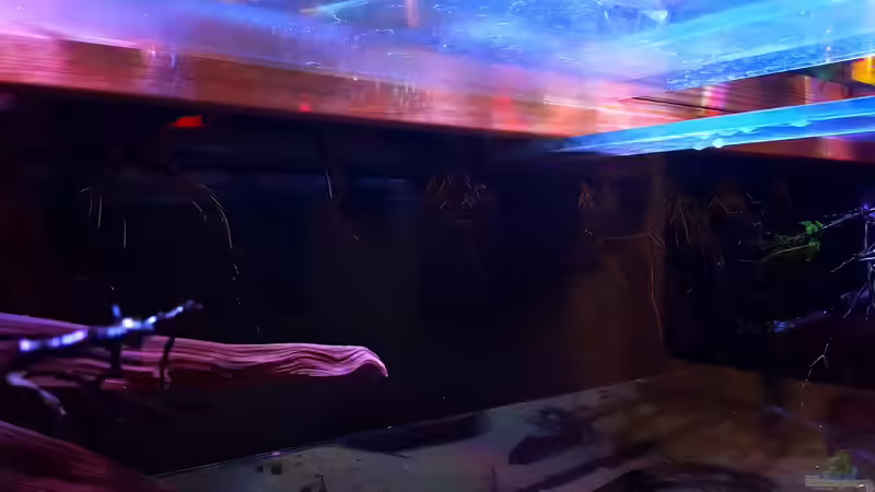 Pflanzen im Aquarium Amazonas klarwasser Nebenfluss (nur noch als Beisp von Südamerika Aquanaut (25)