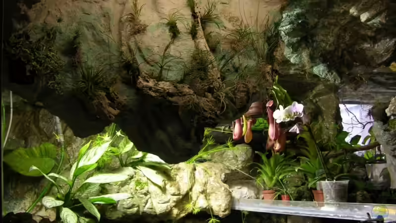 Pflanzen im Aquarium Becken 13562 von dornwels (20)