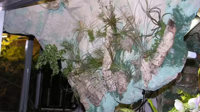 Pflanzen im Aquarium Becken 13562 von dornwels (24)