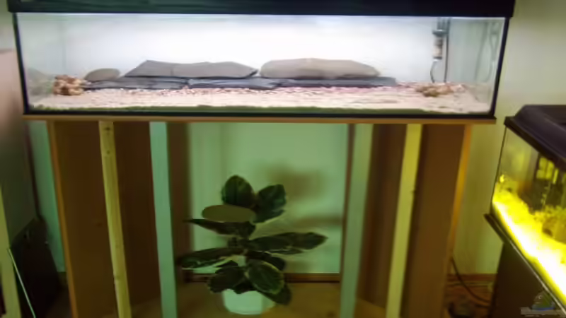 Pflanzen im Aquarium Becken 2923 von Heiko Rodegast (3)