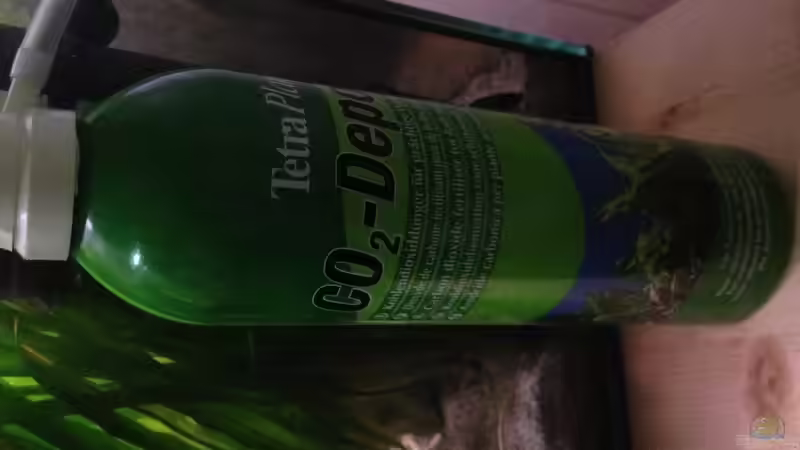 Pflanzen im Aquarium Becken 30559 von Marcel Klein (2)