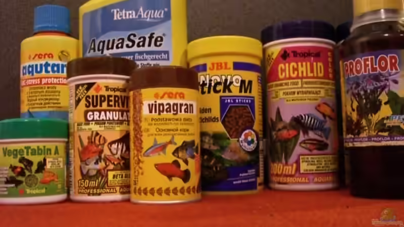 Pflanzen im Aquarium Becken 3882 von refo78 (6)