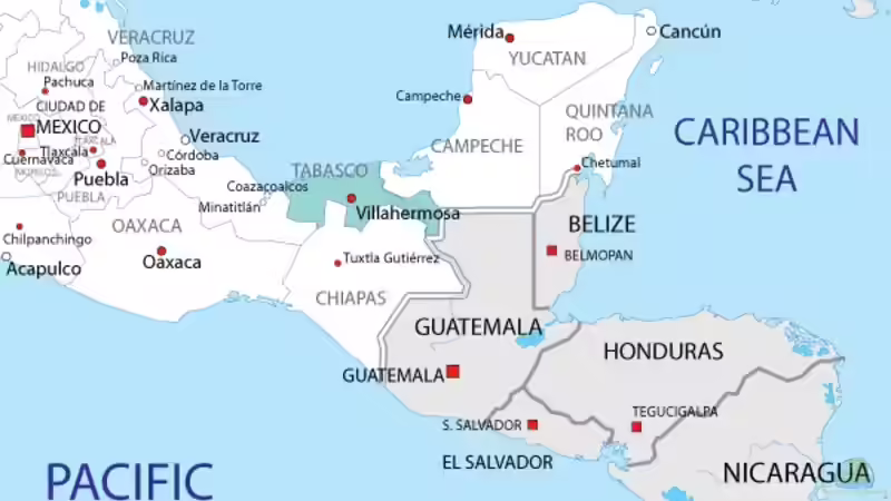 Pflanzen im Aquarium Central American River von Laura (33)