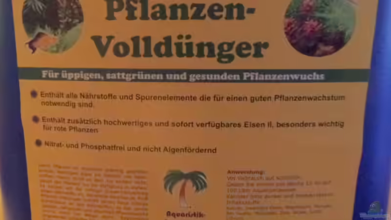 Pflanzen im Aquarium Die Herausforderung von raubsau (110)