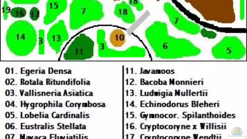 Pflanzen im Aquarium existiert in der Form nichtmehr von Peter S. (14)