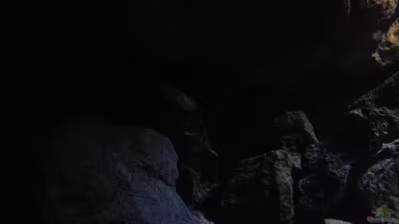 Pflanzen im Aquarium Fade to black (aufgelöst) von der Steirer (46)