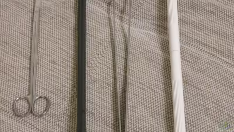 Pflanzen im Aquarium JUWEL DISKUS AMAZONAS von Rene Zwirchmayr (12)