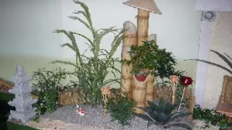 Pflanzen im Aquarium KOIBECKEN von Sascha Schleicher (3)