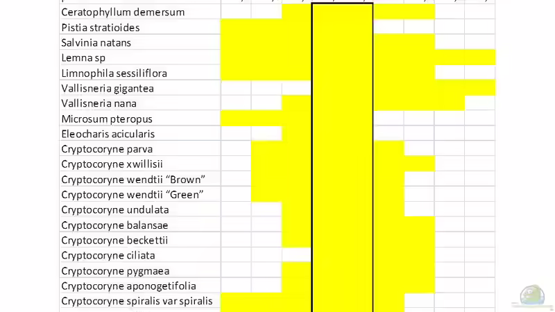 Pflanzen im Aquarium Me equivocaria otra vez II von lomarraco (19)